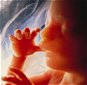 Fearfully and Wonderfully Made