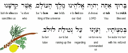 Blessing over the lulav