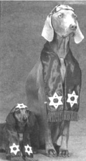 Jewish Dog?