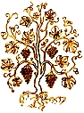 Vine and Branches