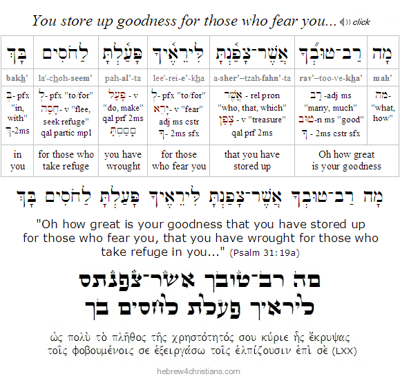 Psalm 31:19a Hebrew lesson