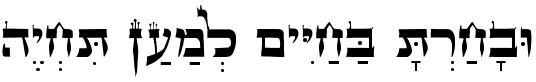 Deut. 30:19 Hebrew text