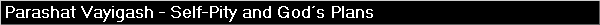 Parashat Vayigash - Self-Pity and God’s Plans