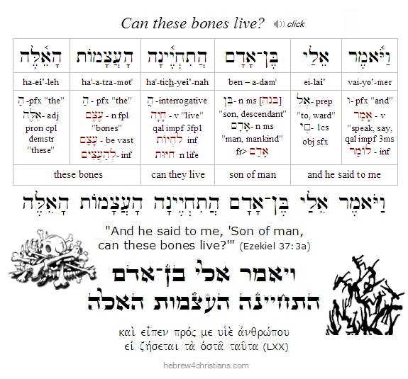 Ezek. 37:3 Hebrew lesson