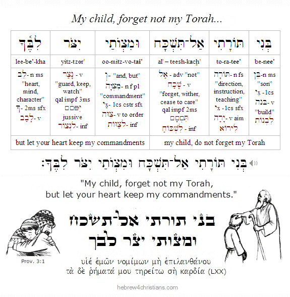 Proverbs 3:1 Hebrew Lesson