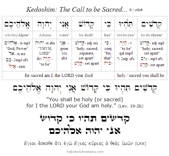 Leviticus 19:2b Hebrew Lesson