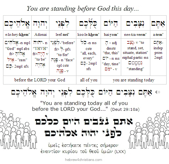 Deut. 29:10 Hebrew analysis