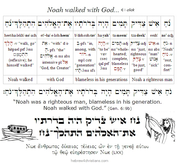Gen. 6:9b Hebrew Lesson