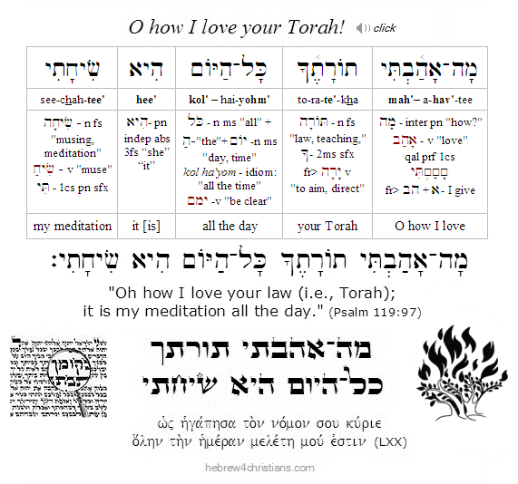 Psalm 119:97 Hebrew lesson
