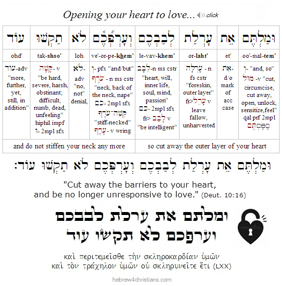 Deut. 10:16 Hebrew Lesson