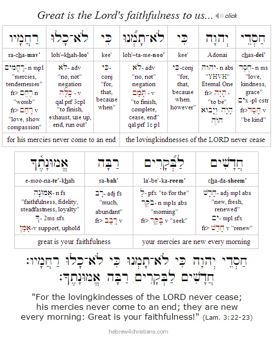 Lam 3:22 Hebrew Analysis