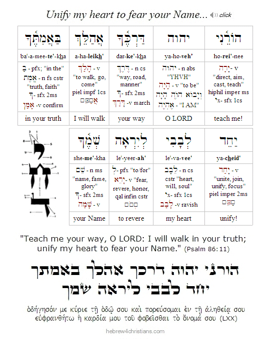 Psalm 86:11 (BHS) Hebrew Analysis