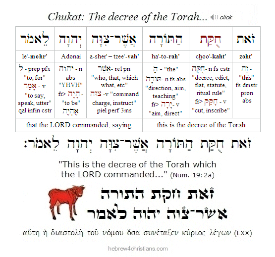 Numbers 19:2 Hebrew Analysis Chukat